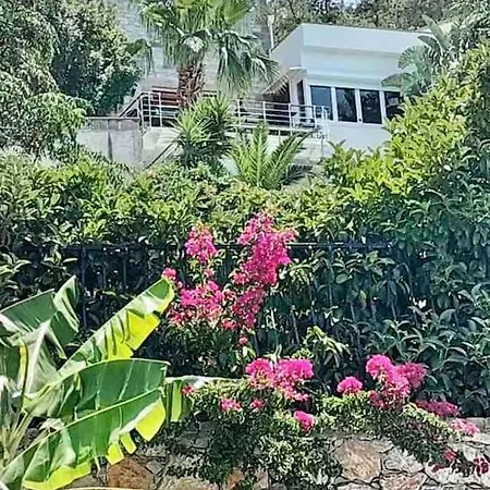 Апартаменты Peacefull, Private, Pristine